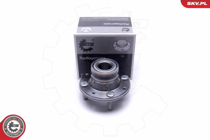 Wheel Bearing Kit